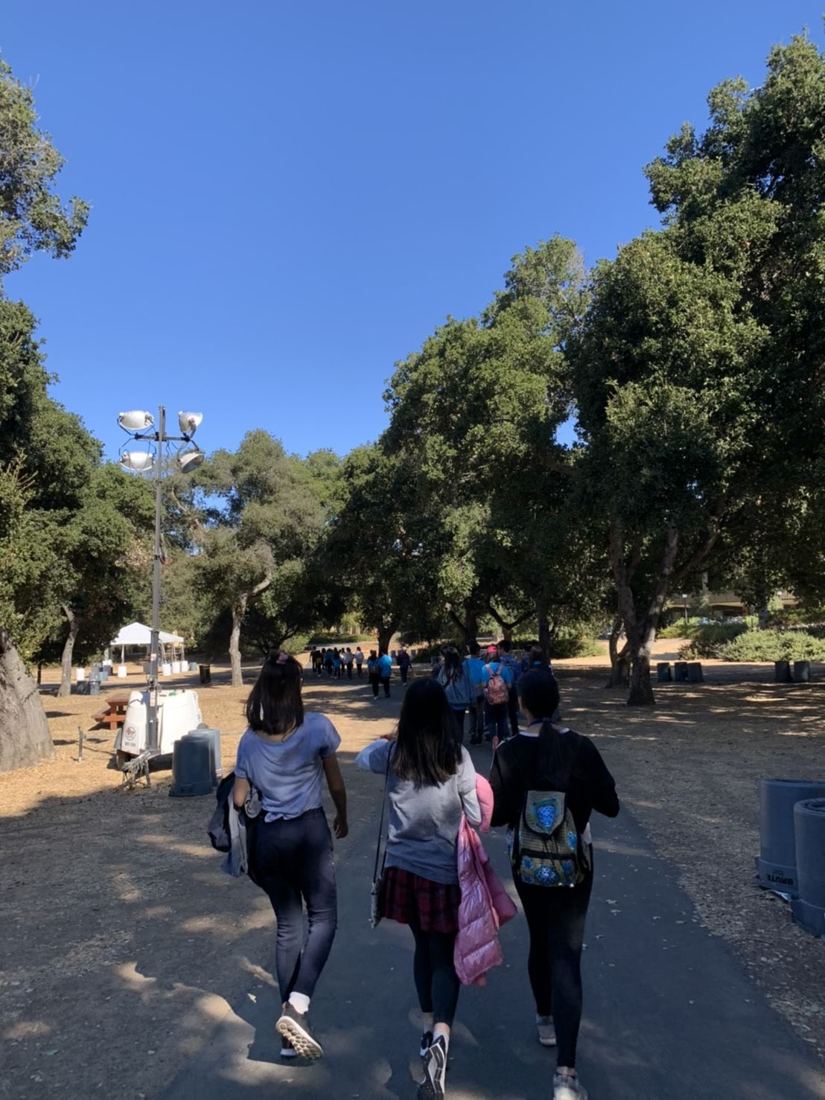 Cupertino exchange, Stanford, photo 1