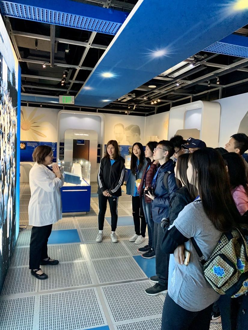 Cupertino exchange, Museum & meals, photo 1