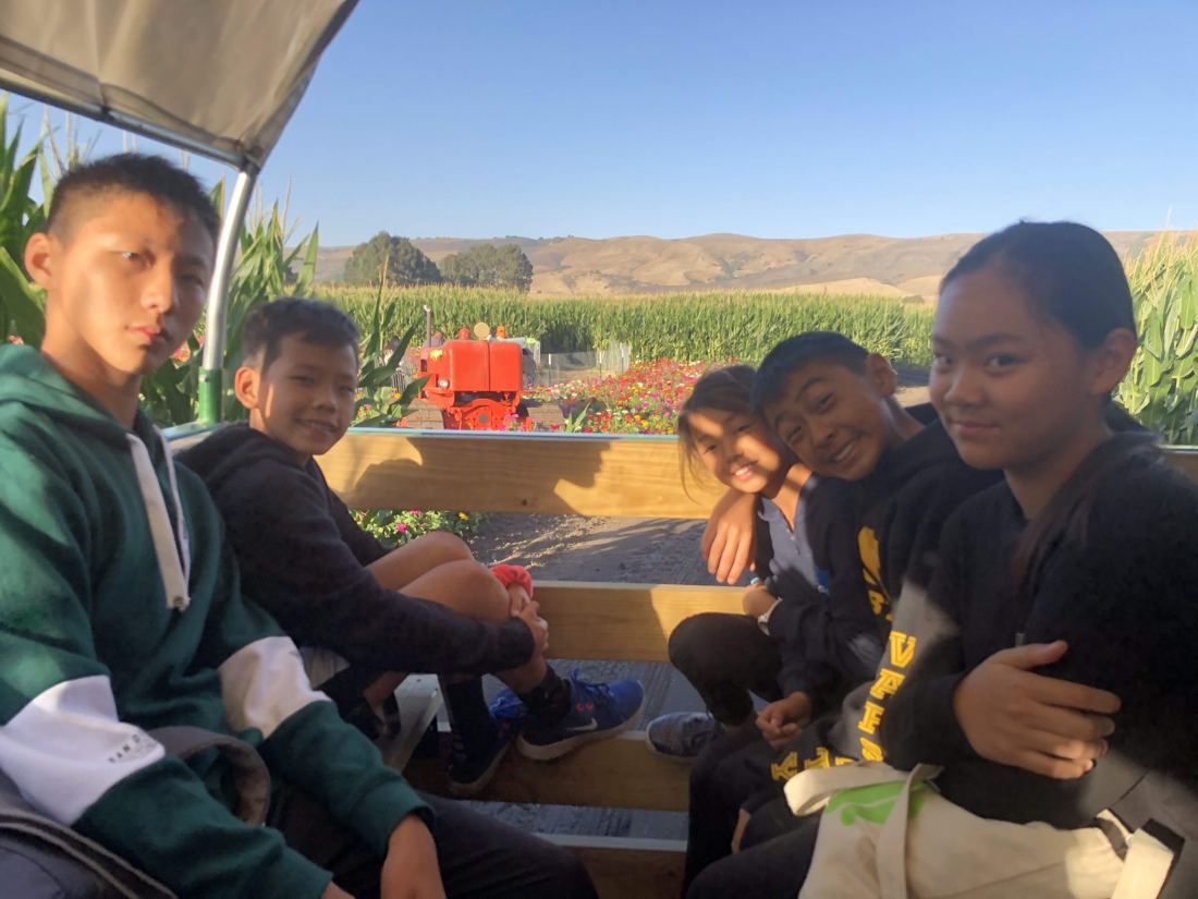 Cupertino exchange, Pumpkin patch & corn maze, photo 3