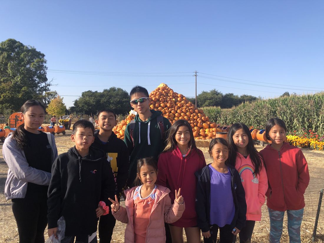 Cupertino exchange, Pumpkin patch & corn maze, photo 4