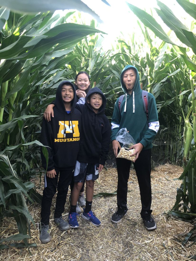 Cupertino exchange, Pumpkin patch & corn maze, photo 6