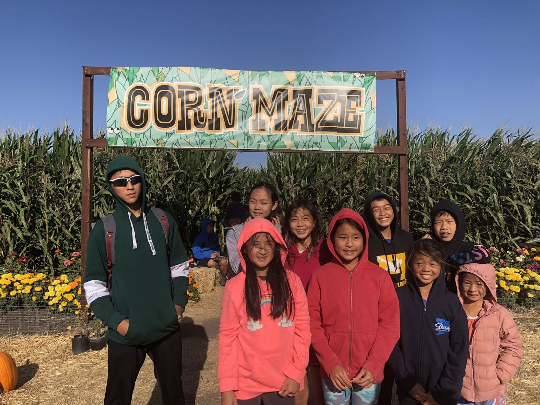Cupertino exchange, Pumpkin patch & corn maze, photo 1