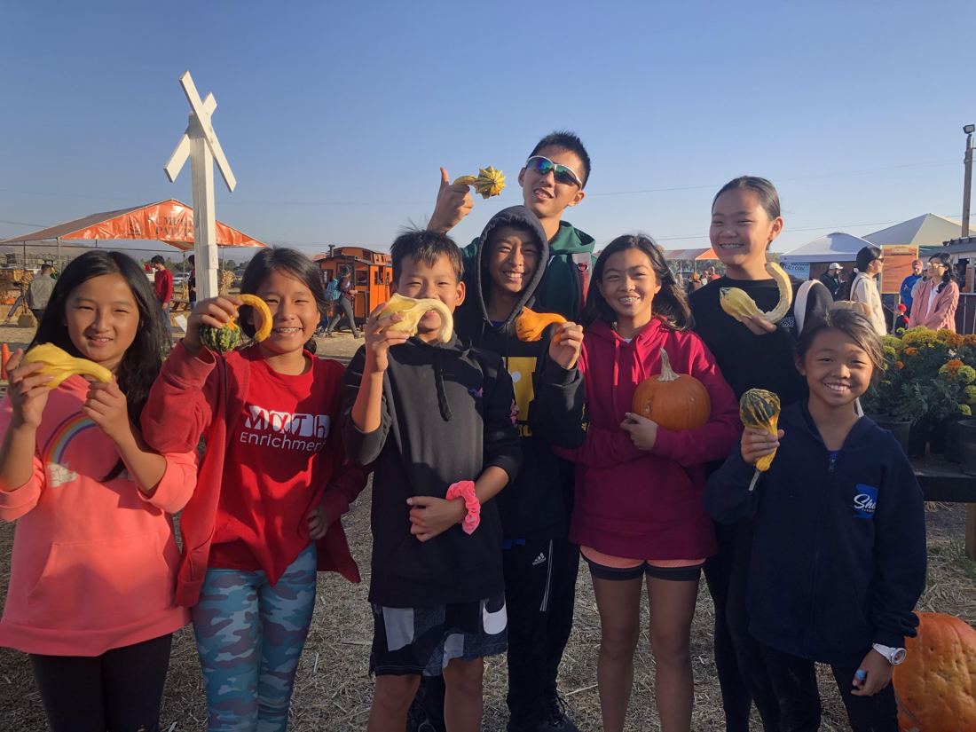 Cupertino exchange, Pumpkin patch & corn maze, photo 2