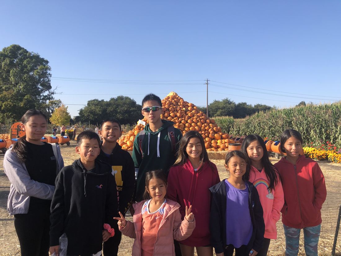 Cupertino exchange, Pumpkin patch & corn maze, photo 5