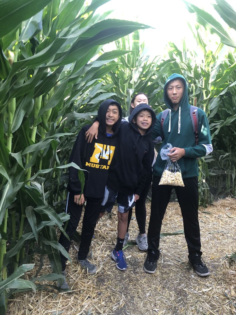 Cupertino exchange, Pumpkin patch & corn maze, photo 7