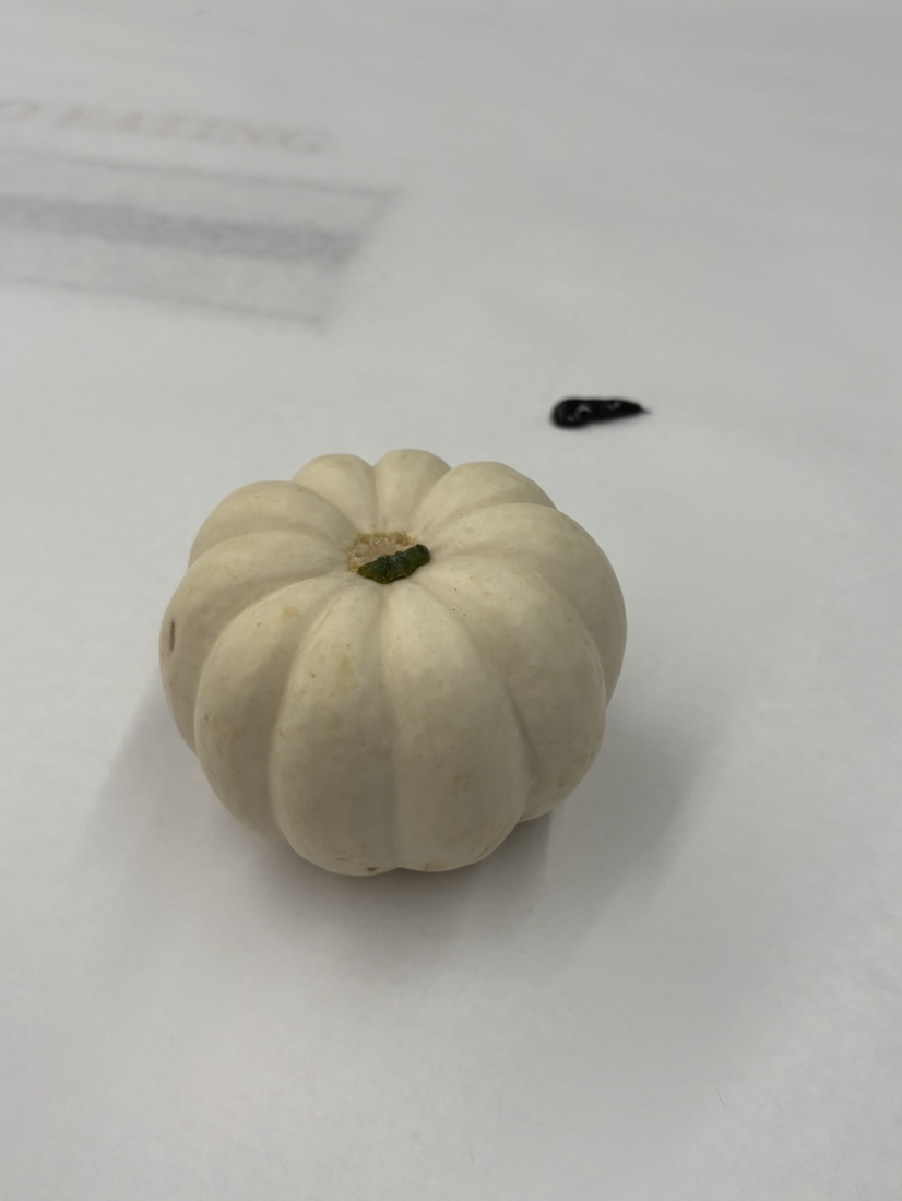 Halloween Pumpkin Decorating, photo 1