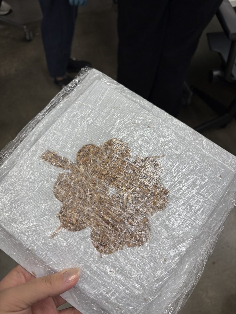Mycelium Workshop, photo 7