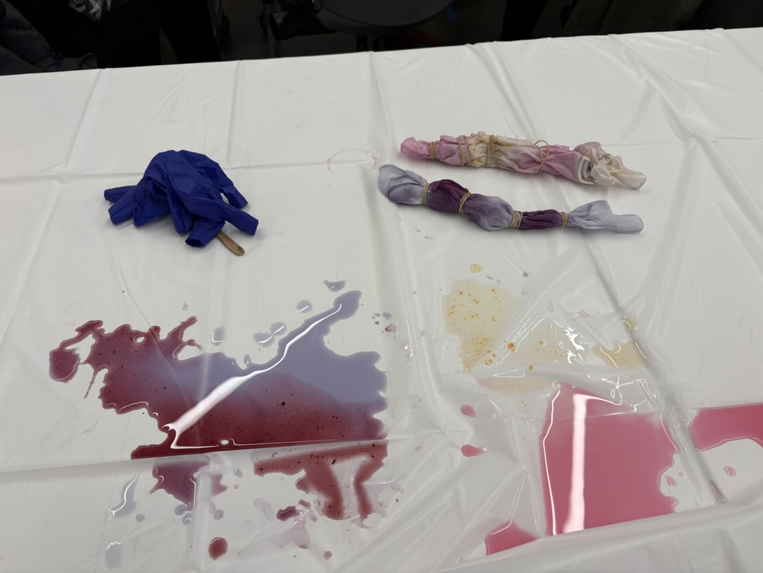 Natural Plant-Based Tie-Dye, photo 2