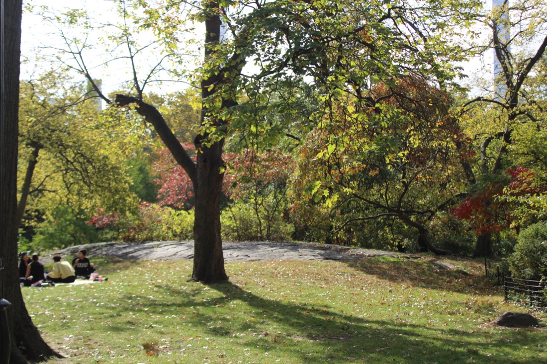 Photo from 10.19.2025 3