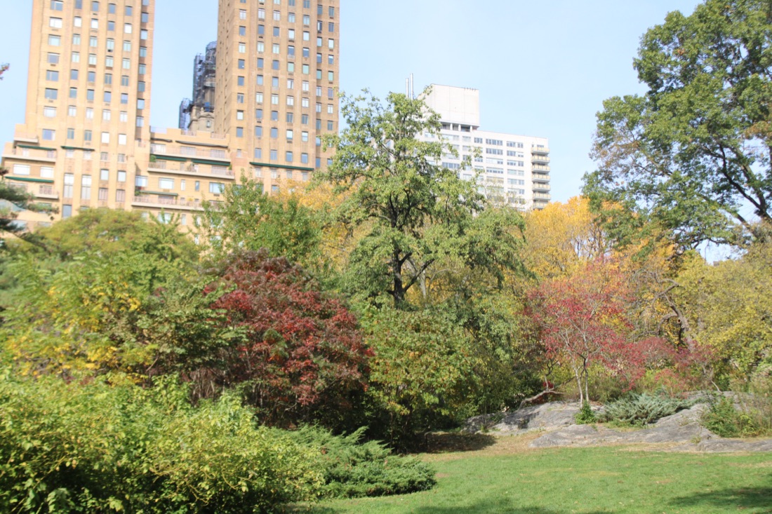 Photo from 10.19.2025 5
