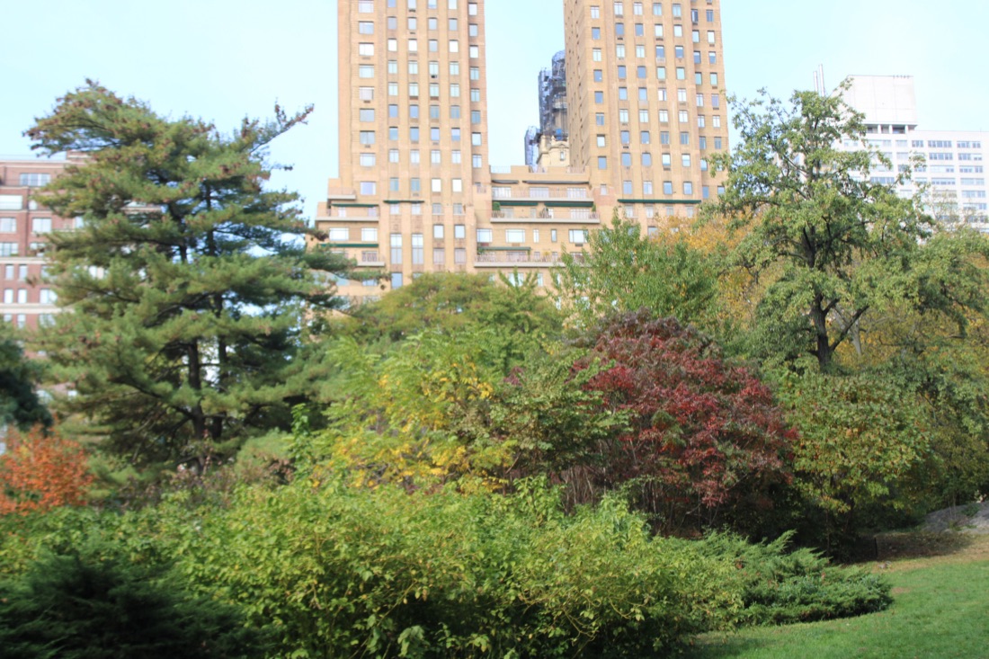 Photo from 10.19.2025 7