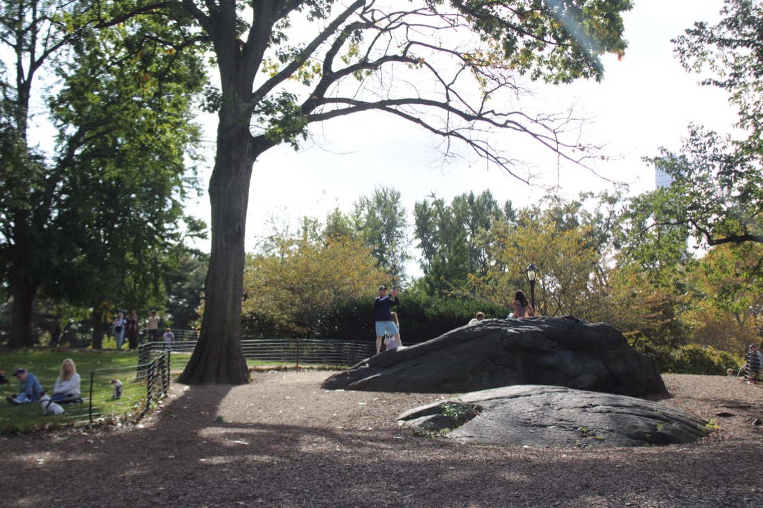 Photo from 10.19.2025 20