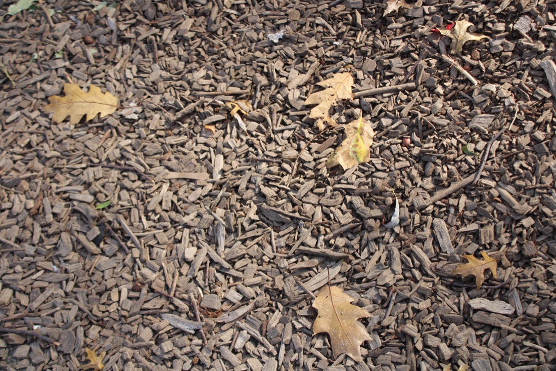 Photo from 10.19.2025 21