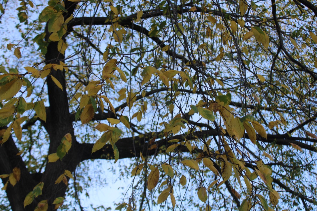 Photo from 10.19.2025 26