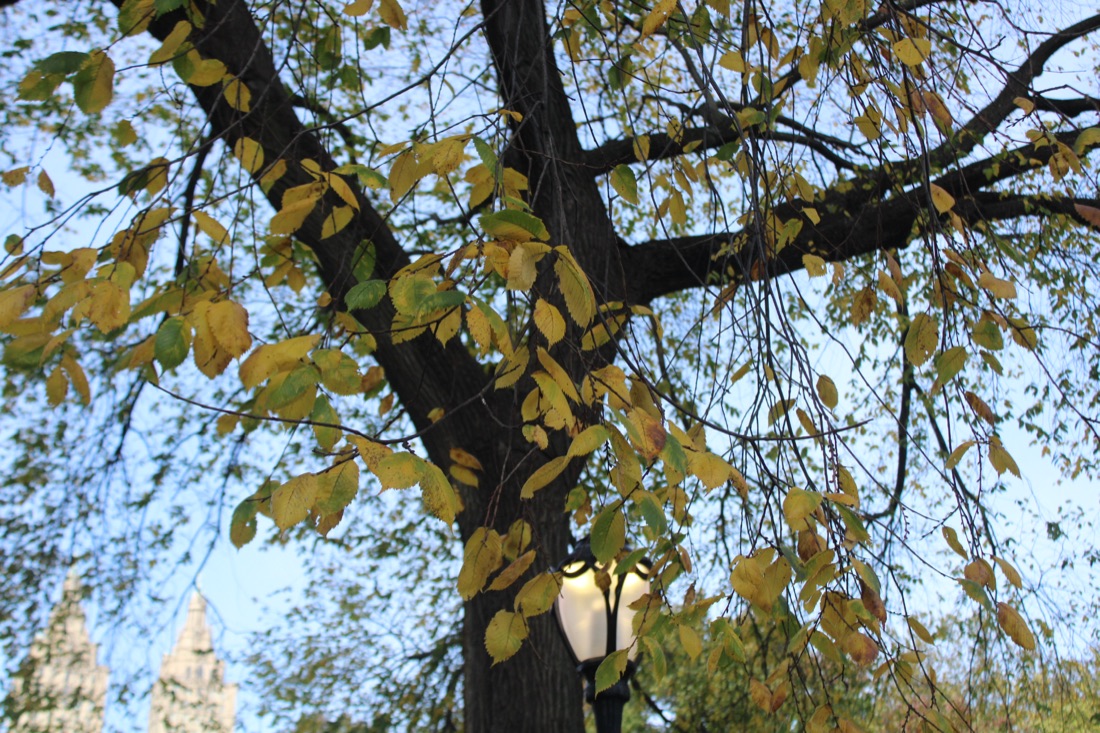 Photo from 10.19.2025 27