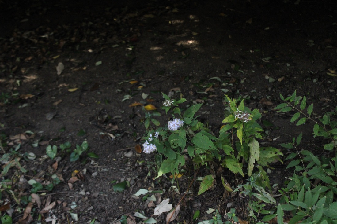 Photo from 10.19.2025 29