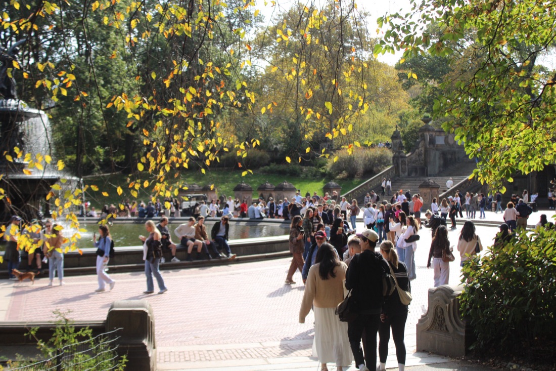 Photo from 10.19.2025 30