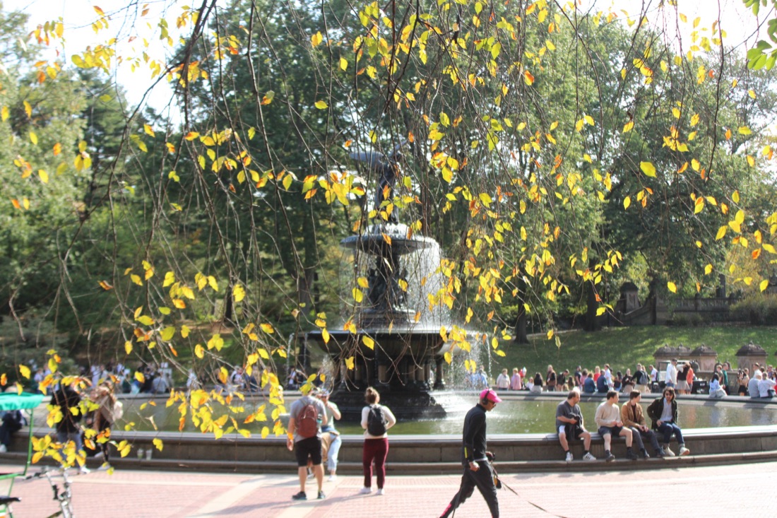Photo from 10.19.2025 31