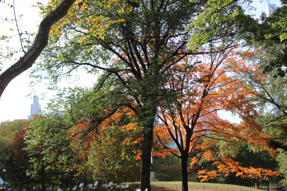 Photo from 10.19.2025 35