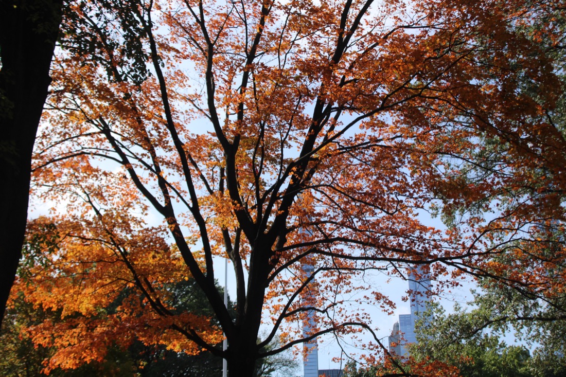 Photo from 10.19.2025 37