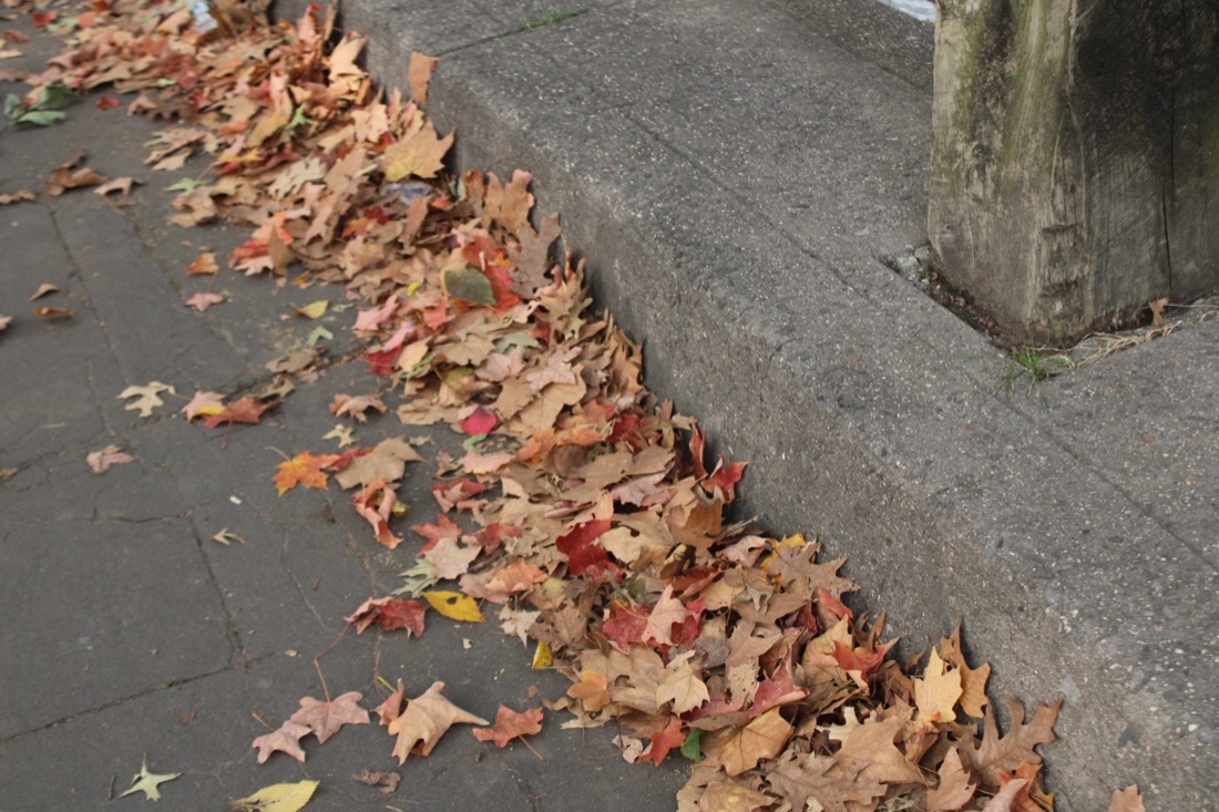 Photo from 10.19.2025 38