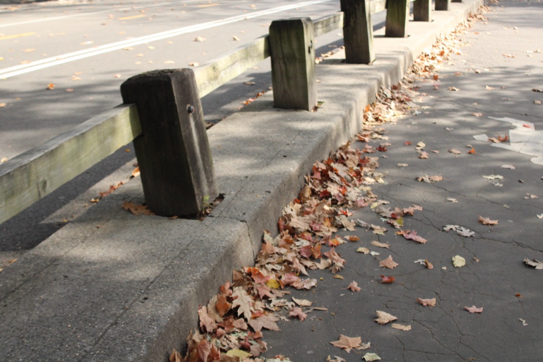 Photo from 10.19.2025 39
