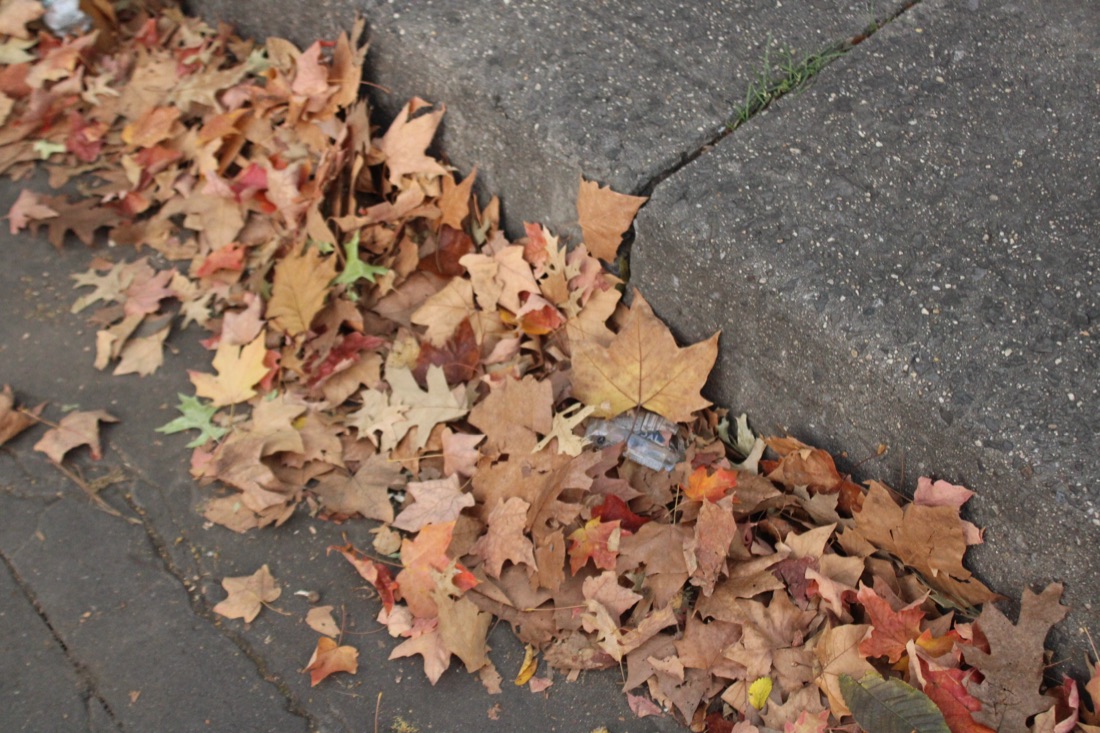 Photo from 10.19.2025 40