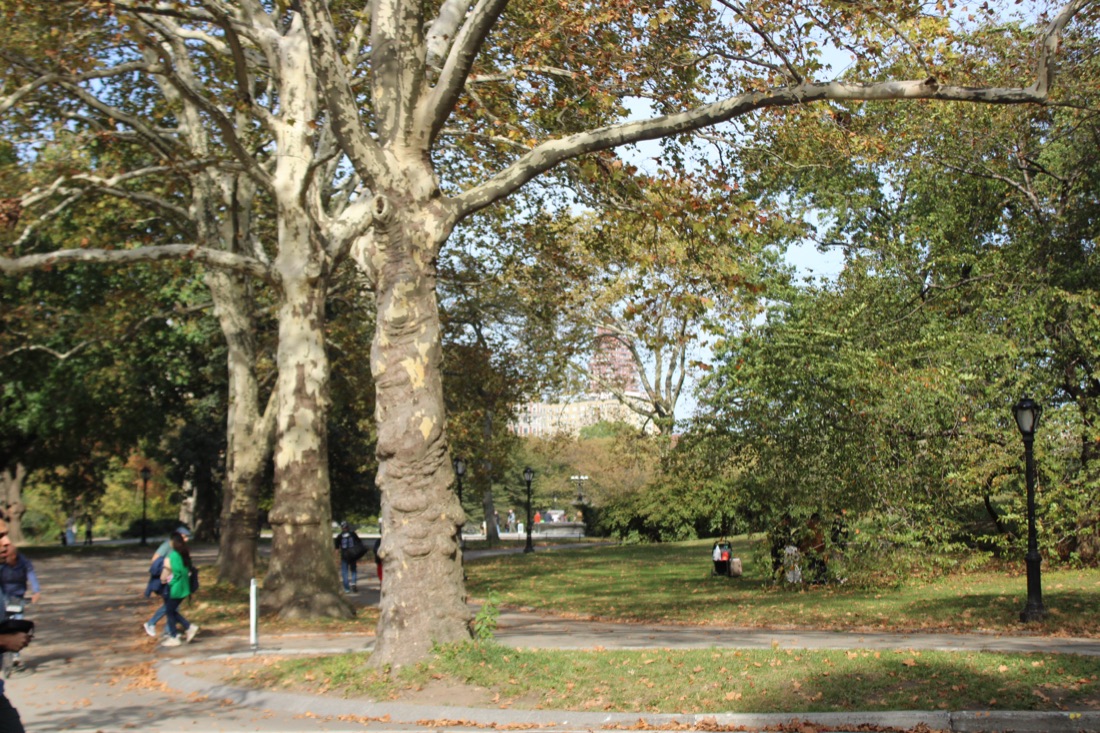 Photo from 10.19.2025 44