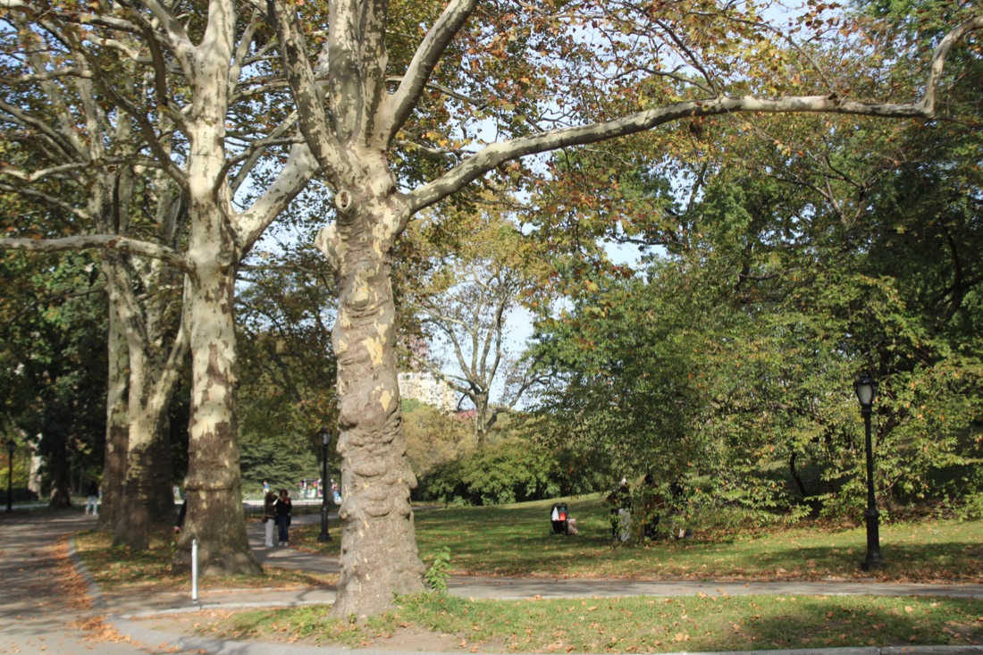 Photo from 10.19.2025 45