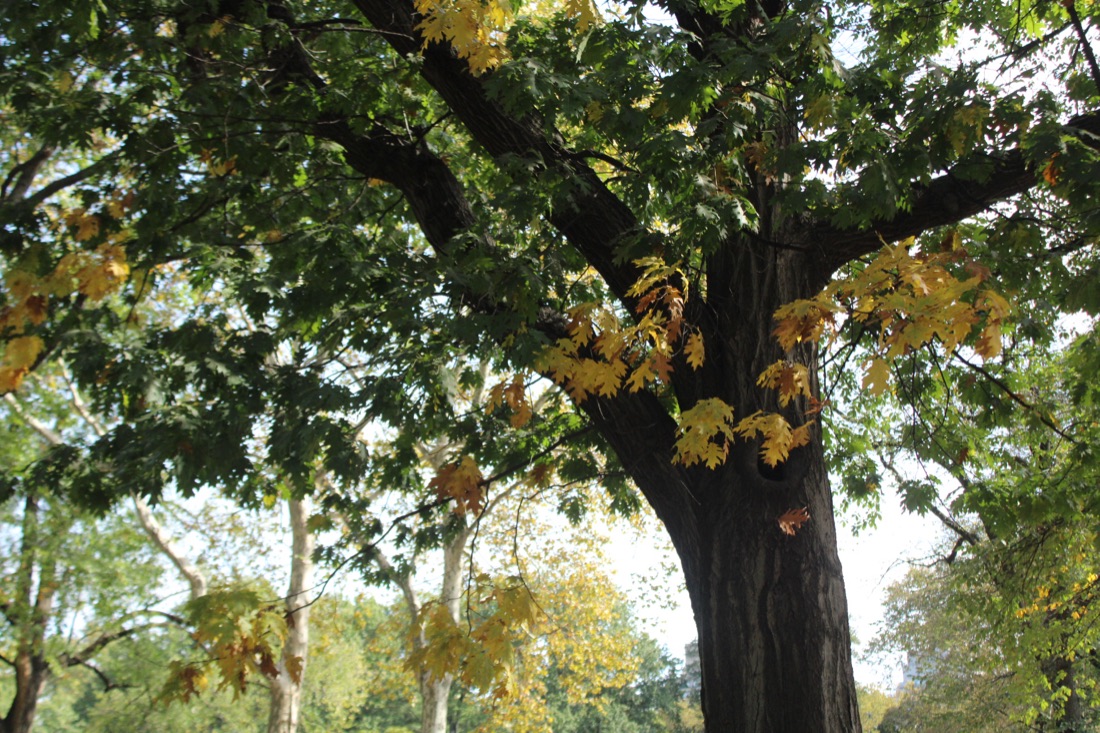 Photo from 10.19.2025 46