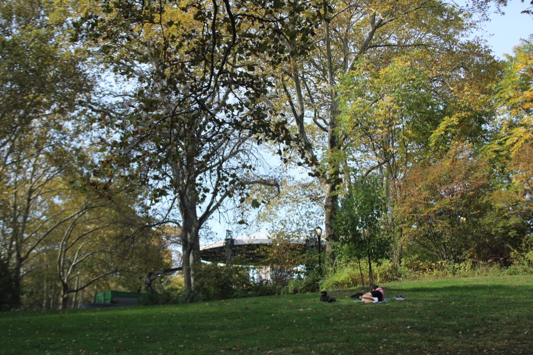 Photo from 10.19.2025 52