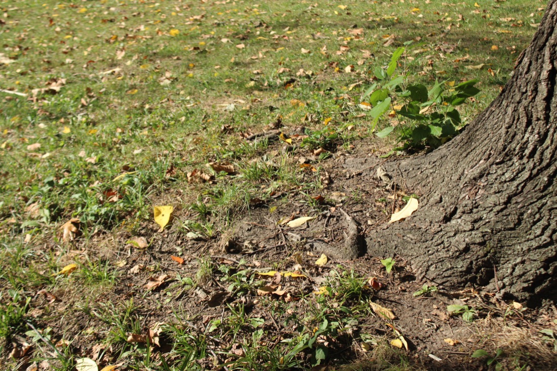 Photo from 10.19.2025 53