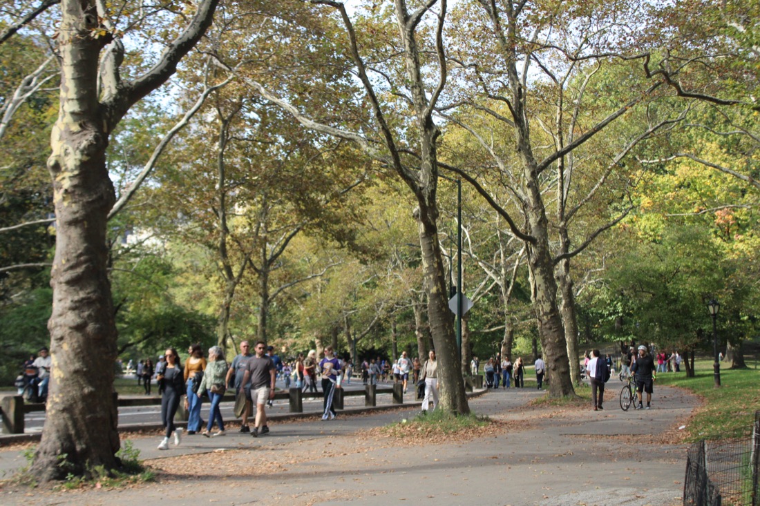 Photo from 10.19.2025 71