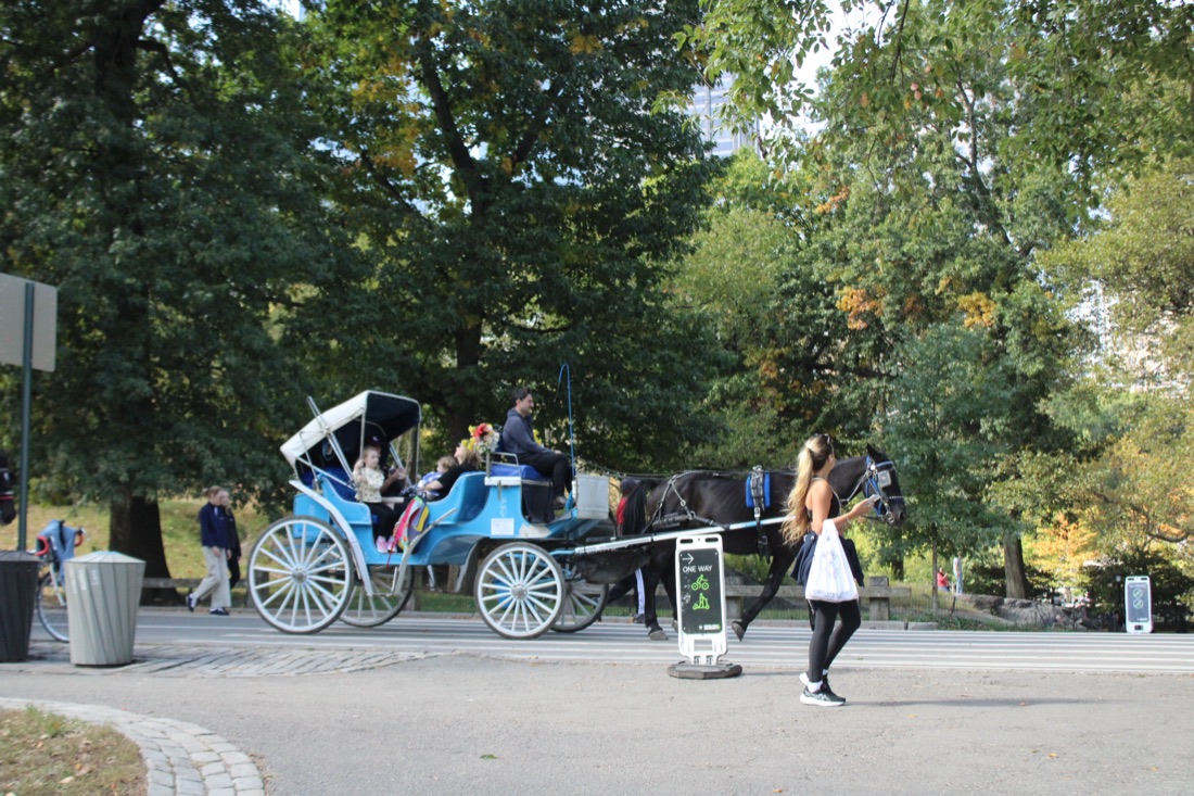 Photo from 10.19.2025 86