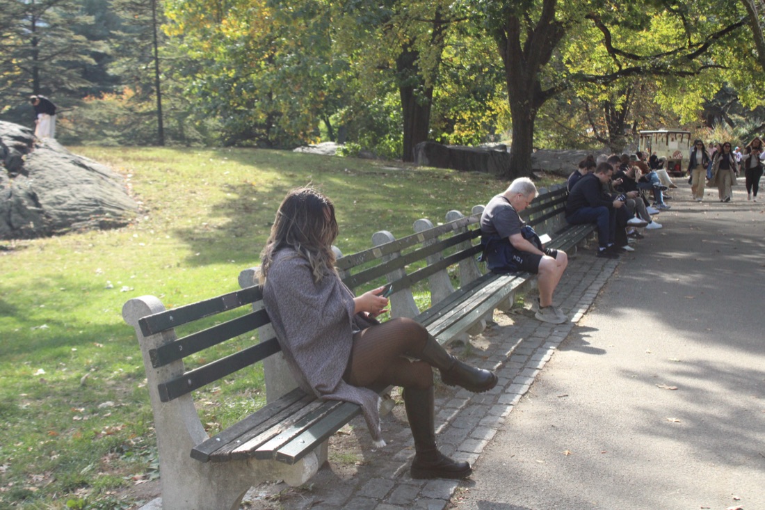 Photo from 10.19.2025 88