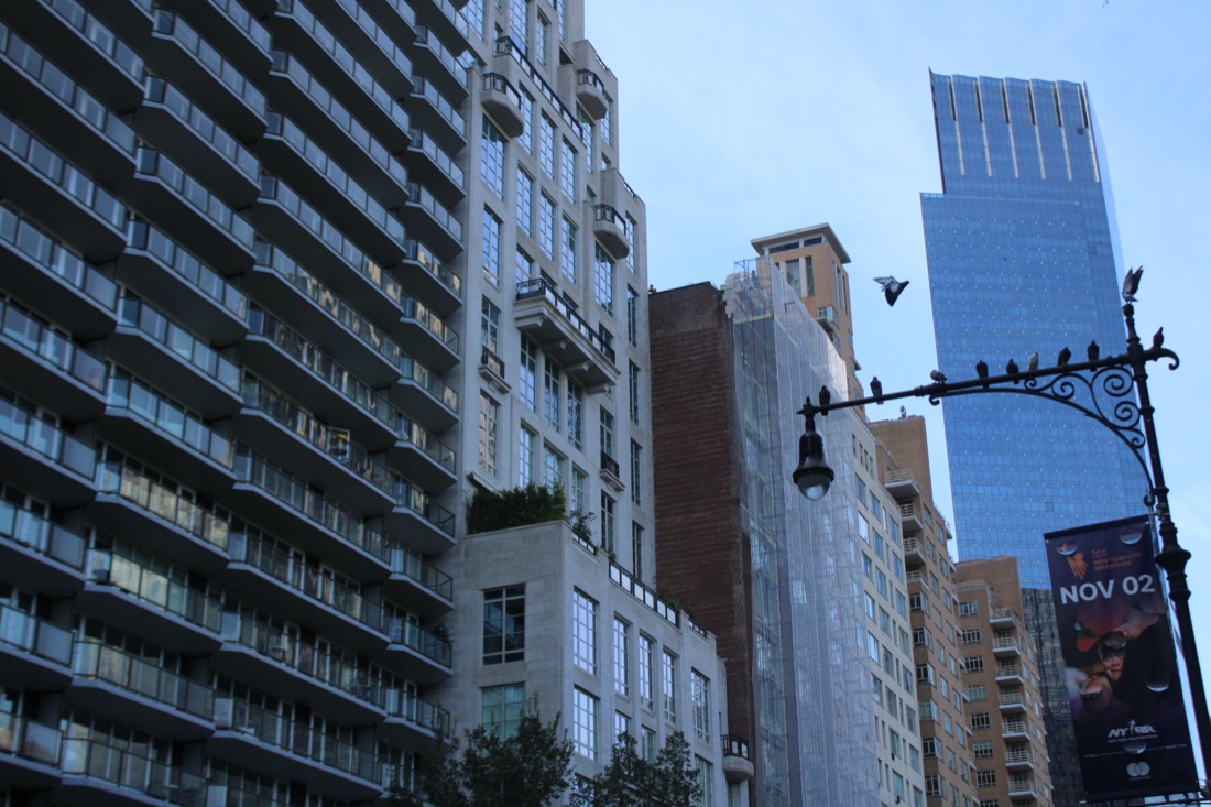 Photo from 10.19.2025 105