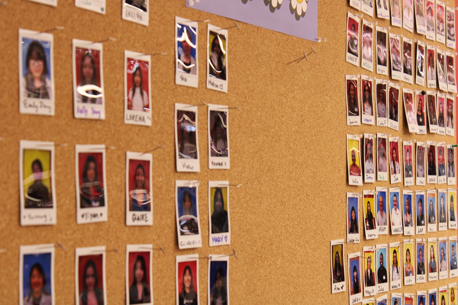 Contact sheet photo 1