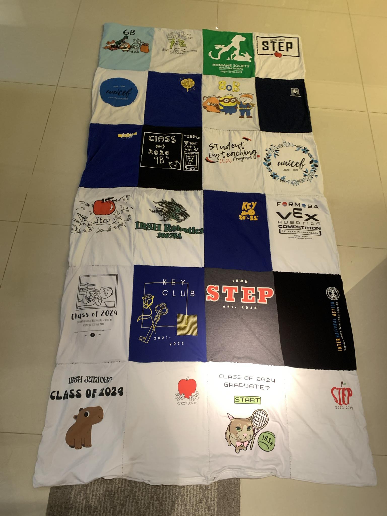 IBSH t-shirt quilt, photo 2